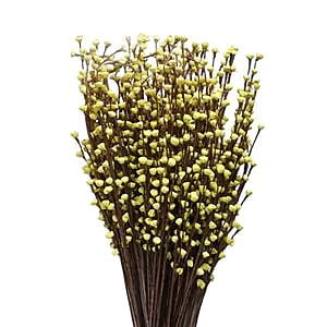 Sweet Rose Buds Stick