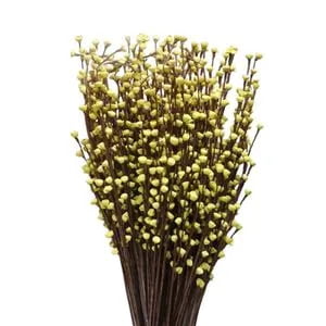 Sweet Rose Buds Stick Sweet Rose Buds Stick