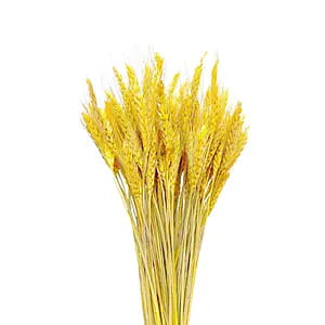 Wheat Stalks