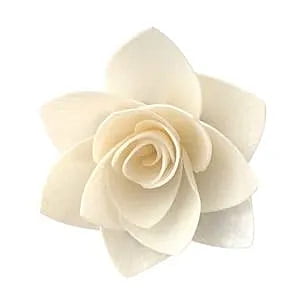 Winter Rose Sola Flower