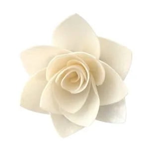 Winter Rose Sola Flower Winter Rose Sola Flower